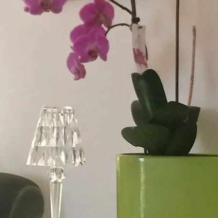 דירה Rooftop Flat In