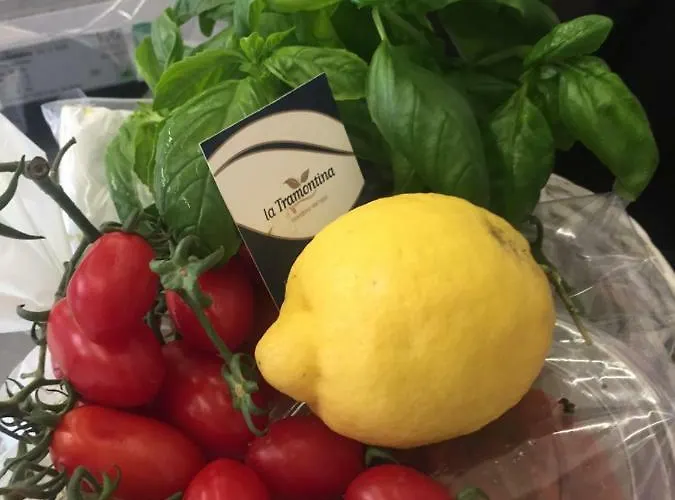 Apartment Rooftop Flat In 