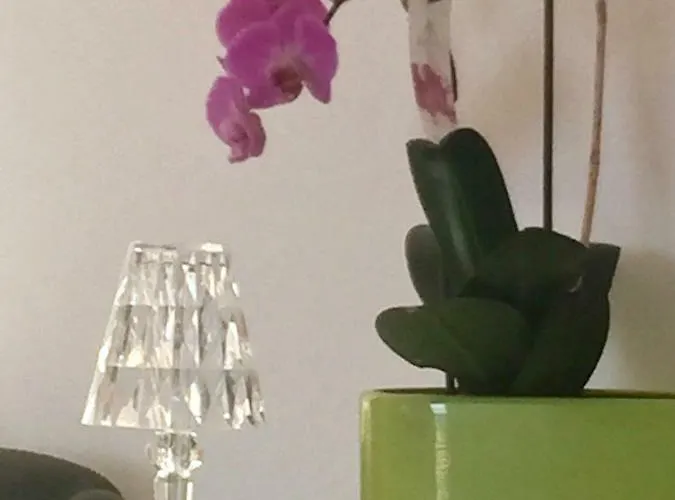 아파트 Rooftop Flat In 