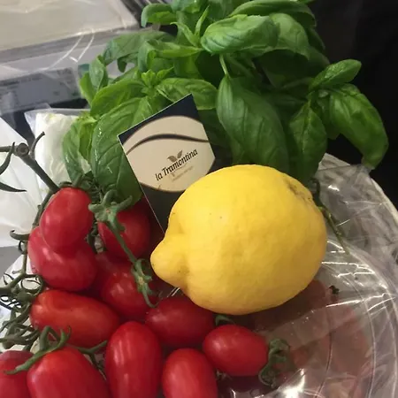 Apartment Rooftop Flat In 